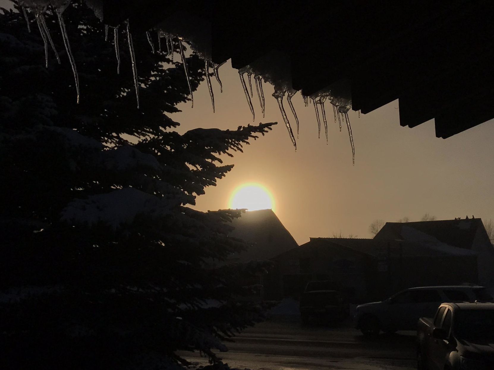 icicles